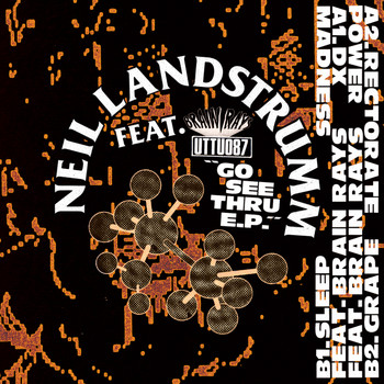 Neil Landstrumm - Go See Thru