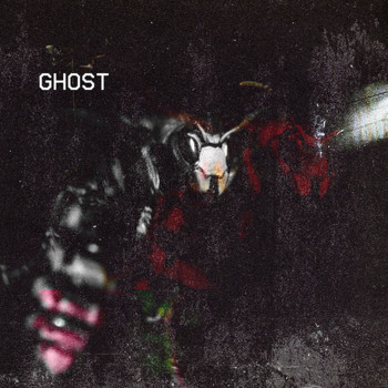 Ghost - Hyped