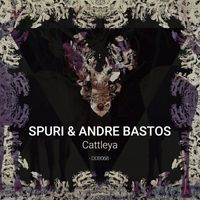Spuri & Andre Bastos - Cattleya