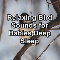 Spa & Spa - Relaxing Bird Sounds for Babies Deep Sleep
