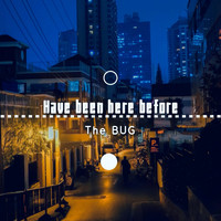 The Bug - Have been here before (Instrumental Version)