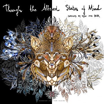 Various Artists - Through the altered States of Mind