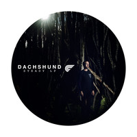 Dachshund - Steady LP