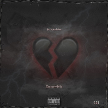 Finx - Tausend Teile