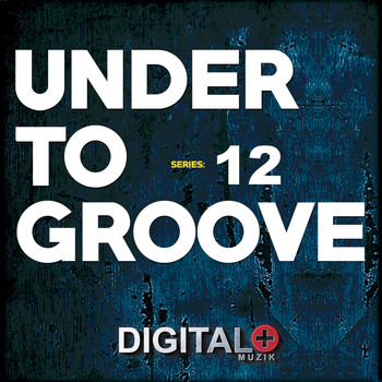 Various Artists - Under To Groove Series12