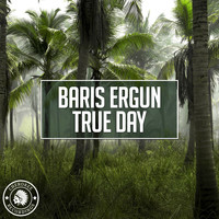 Baris Ergun - True Day