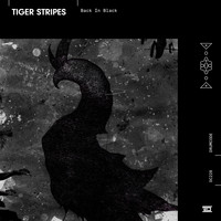 Tiger Stripes - Back in Black
