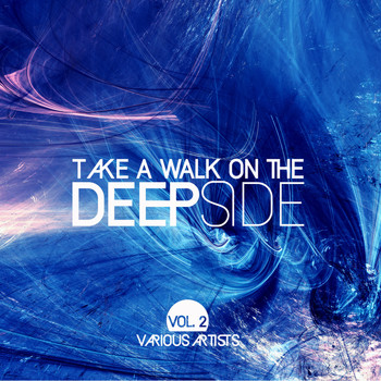 Various Artists - Take A Walk On The Deep Side, Vol. 2