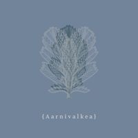 Markus Perttula - Aarnivalkea