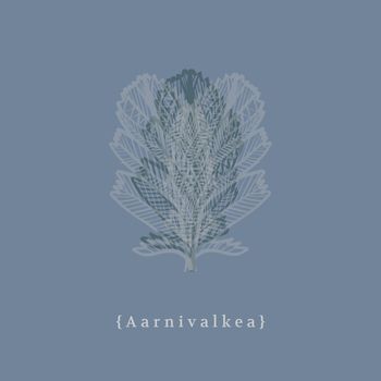 Markus Perttula - Aarnivalkea