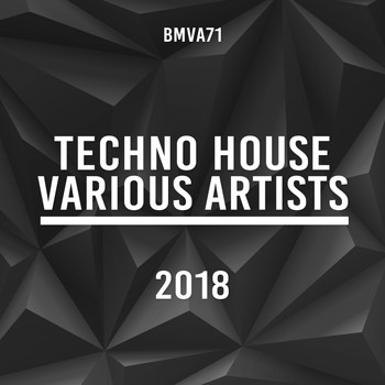Various Artists - Techno House