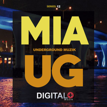 Various Artists - Miami Underground Muzik Series 12