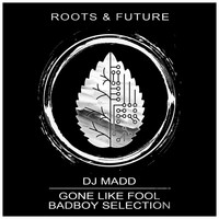 DJ Madd - Gone Like Fool / Badboy Selection