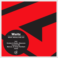 Waitz - What Would We Do