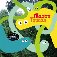 Mason - Toucan