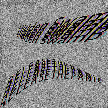 Hidden Swamp - Release The Panic