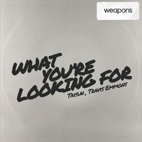 TAISUN, Travis Emmons - What You're Looking For