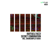 Raffaele Rizzi - Secret Combination