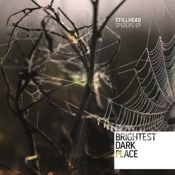 Stillhead - Spiders EP