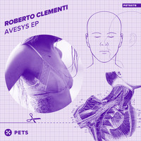 Roberto Clementi - Avesys