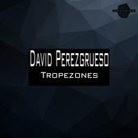 David Perezgrueso - Tropezones