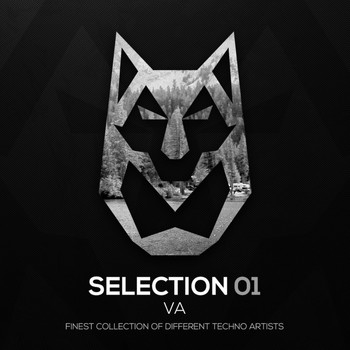 Various Artists - SELECTION 01