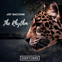 Joy Saccone - The Rhythm