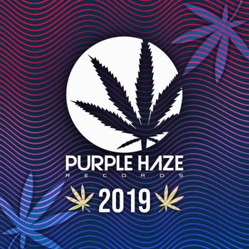 Various Artists - Purple Haze 2019