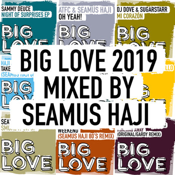 Various Artists - Big Love 2019 Mixed By Seamus Haji