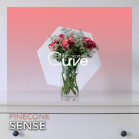 Pinecone - Sense