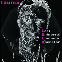 Tauma - Luca