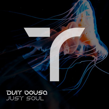 Dvit Bousa - Just Soul