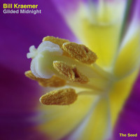 Bill Kraemer - Gilded Midnight
