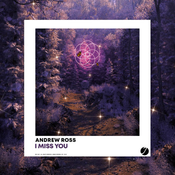 Andrew Ross - I Miss You