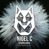 Nigel C - Delicate