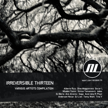 Various Artists - Irreversible Thirteen