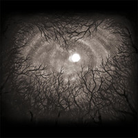 Hiboux - Night Flights - EP