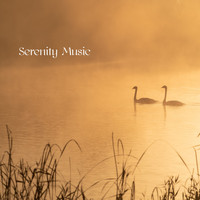 Serenity Spa Music Relaxation, Spa Music, Spa Music Consort - Serenity Music