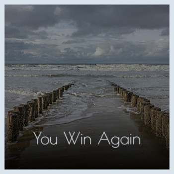 Various Artists - You Win Again