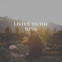 Beach Top Sounders - Listen to the Wind