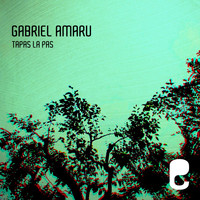 Gabriel Amaru - Tapas La Pas