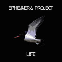 Ephemera Project - Life