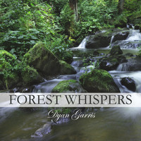 Dyan Garris - Forest Whispers (feat. Sherry Finzer)