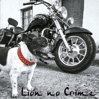 Lion no crime - Lion No Crime