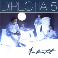 Directia 5 - Ambiental