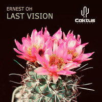 Ernest Oh - Last Vision