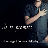 Universal Sound Machine - Je te promets (40 chansons hommage à Johnny Hallyday [Explicit])