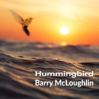 Barry McLoughlin - Hummingbird