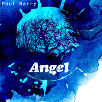 Paul Barry - Angel