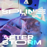Spline - Afterstorm